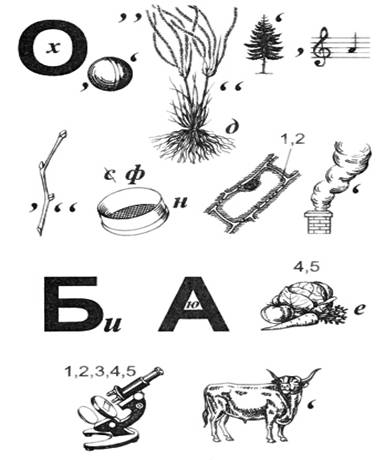 http://boomerangclub.ru/up/images/informaciya/priroda-sakhalina-i-kuril/multemediinie-diski/Drevesnue/images/game/krossword/krossword%20%2811%29.jpg