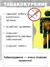 http://www.tepka.ru/biologiya_cheloveka/44.2.jpg