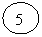����: 5