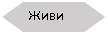 ����-�����: ����������: ���� 