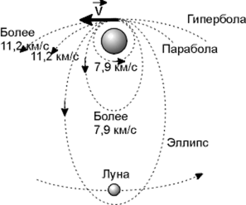 ris27