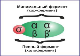 C:\Users\��������\Desktop\�������\���-����������1.jpg