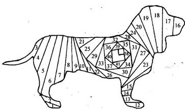 http://www.iris-folding.com/weiner_dog_final_template.jpg