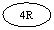 ����: 4R