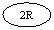 ����: 2R