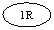 ����: 1R