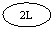 ����: 2L