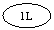����: 1L