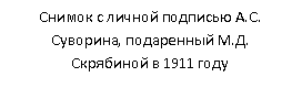 �������: