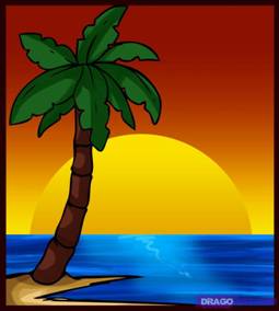 Pin Palm Tree On A Tropical Island on Pinterest