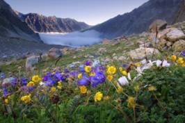 http://img-6.photosight.ru/e68/3446565_large.jpg