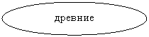 ����: �������