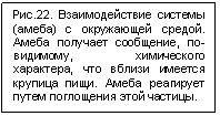 �������: