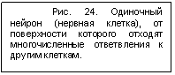 �������: