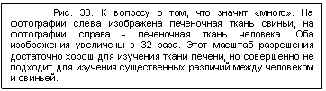 Подпись: