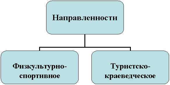 Организационная диаграмма