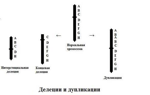 C:\Users\Катерина\Pictures\Делеции.jpg