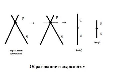 C:\Users\Катерина\Pictures\Изохром.jpg