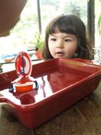 http://4.bp.blogspot.com/-83790K_coNg/TbSFZbJc-6I/AAAAAAAAAC0/agQfqq-y6-Q/s400/P4246496.jpg