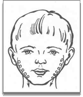 http://be.convdocs.org/pars_docs/refs/106/105940/105940_html_m42638b3c.png