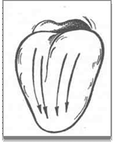 http://be.convdocs.org/pars_docs/refs/106/105940/105940_html_m5b3db689.png