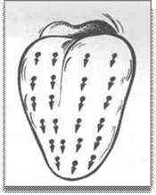 http://be.convdocs.org/pars_docs/refs/106/105940/105940_html_4beef2fb.png