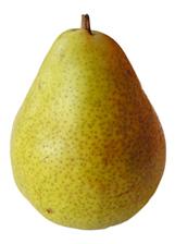http://usiter.com/uploads/20120528/grusha+73904945110.jpg