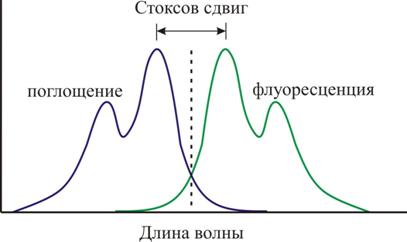Стоксов сдвиг