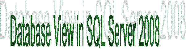 Database View in SQL Server 2008