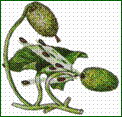 Рисунок7