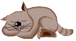 SLEEPCAT