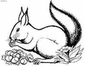 i (2)