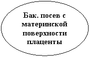 Овал: