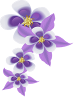 C:\Documents and Settings\KiselevaMA\������� ����\-.png