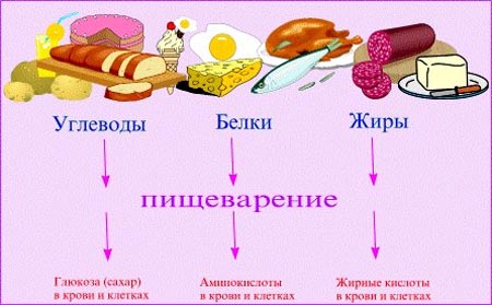 � ������ ����������� ������� ����� ����������� ��������� ������, ����� � ��������� � ����