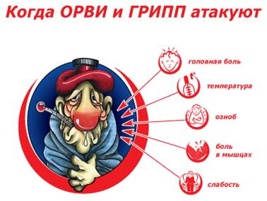 http://test.giantera.ru/i-natur/who%20is-01.jpg