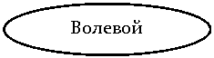 ����: �������
