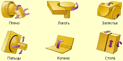 ���� ��������