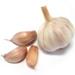 http://findfood.ru/attaches/product/thumb/ovoshi/chesnok.jpg