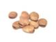 http://findfood.ru/attaches/product/thumb/ovoshi/bobi.jpg