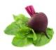 http://findfood.ru/attaches/product/thumb/ovoshi/svekla.jpg