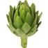 http://findfood.ru/attaches/product/thumb/ovoshi/artishok.jpg
