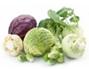 http://findfood.ru/attaches/product/thumb/ovoshi/kapusta.jpg