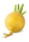 http://findfood.ru/attaches/product/thumb/ovoshi/repa.jpg