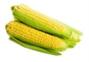 http://findfood.ru/attaches/product/thumb/ovoshi/kukuruza.jpg