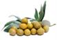http://findfood.ru/attaches/product/thumb/ovoshi/olivki.jpg