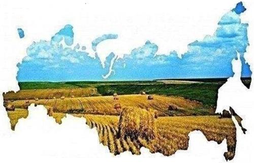 http://sozrf.ru/wp-content/uploads/2013/08/%D0%A0%D0%B8%D1%81%D1%83%D0%BD%D0%BE%D0%BA1.jpg
