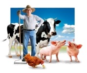 http://mail.adm.dzr.nnov.ru/file/53c4ca260cf23b6fd9afe97b