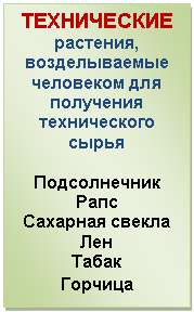 �������: ����������� ��������, 

������������� ��������� ��� ��������� 

������������ 

�����



������������ 

���� 

�������� ������ 

��� 

�����

�������

