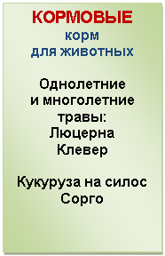 �������: ��������

���� 

��� ��������



���������� 

� ����������� 

�����:

������� 

������



�������� �� ����� 

����� 





